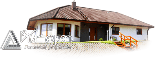 Budowa domów drewnianych
